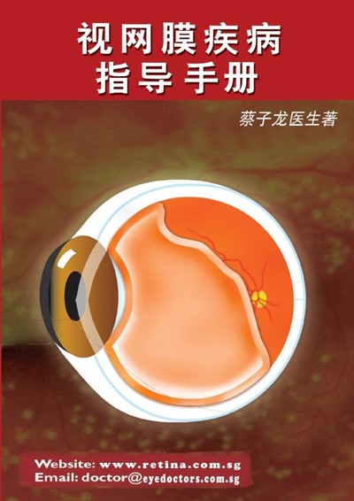 视网膜疾病指导手册: